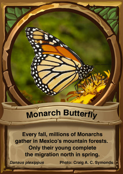 Monarch Butterfly Auraswarm Trading Card Monarch Butterfly Auraswarm Trading Card